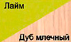 Дуб млечный/лайм